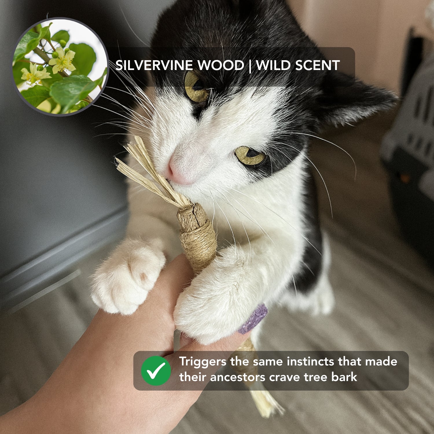 Instinct Play Stick | Wild-Harvested & Chemical-Free Dental Cat Entertainment