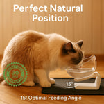 StimuliCat Orthopedic Feeder | Less vomiting. More comfort. A better life for your senior cat.