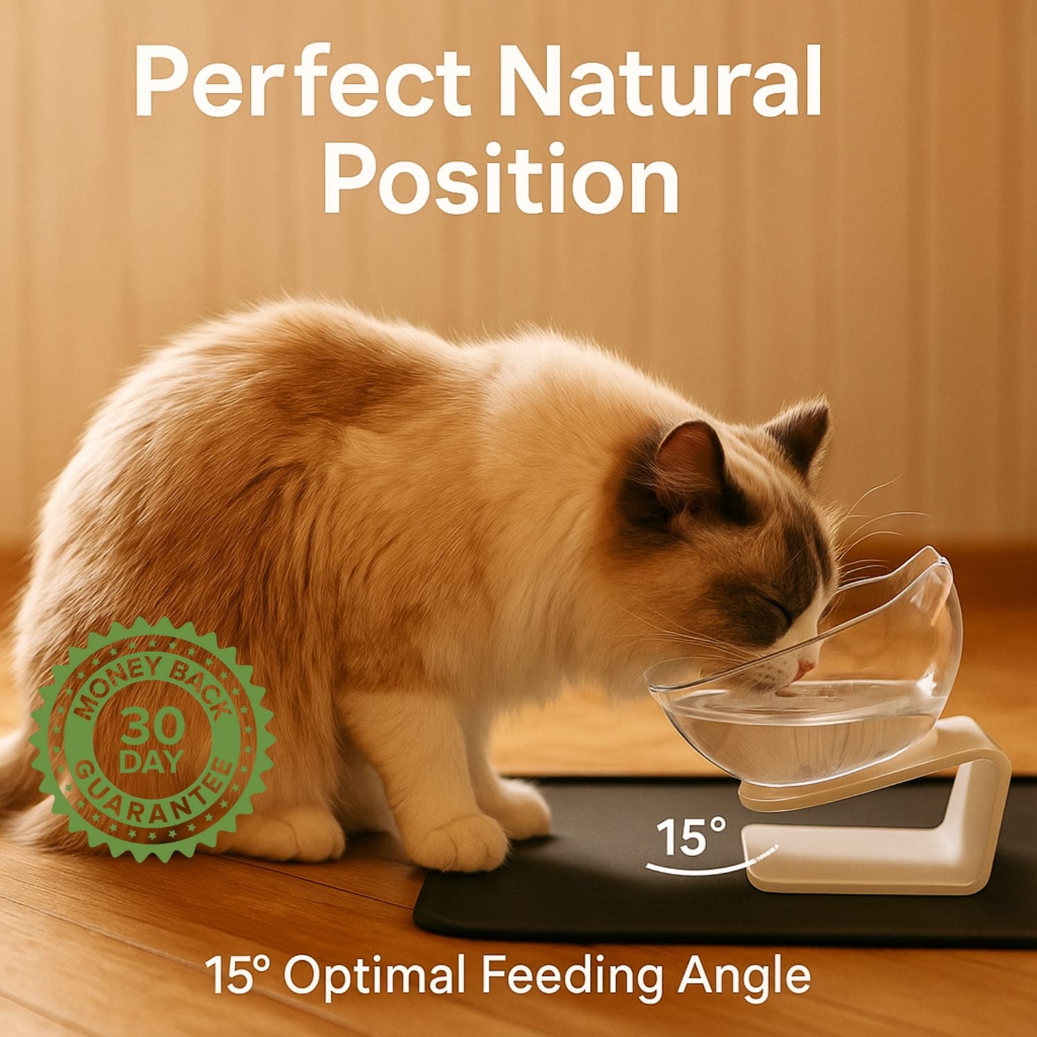 StimuliCat Orthopedic Feeder | Less vomiting. More comfort. A better life for your senior cat.