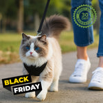 Explorer Harness | Less boredom. More discovery. A better life for your indoor cat. (BLACK FRIDAY FOR EXISTING CUSTOMERS))