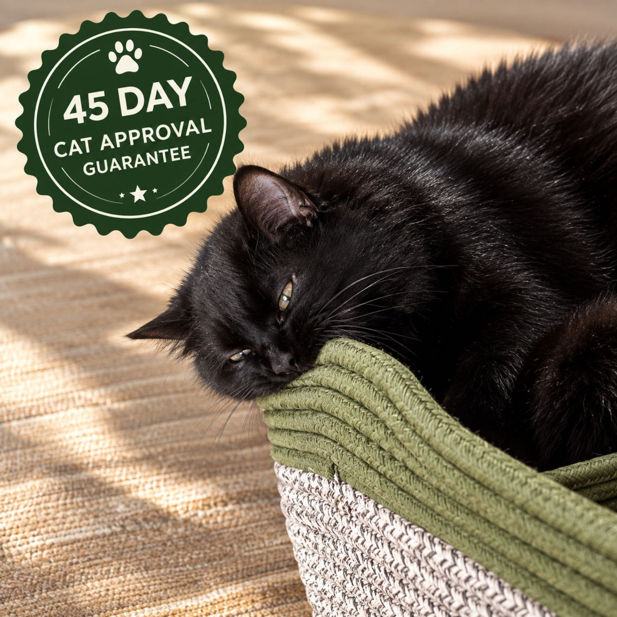 Instinct Basket | Meet the first research-backed natural dental care for indoor cats