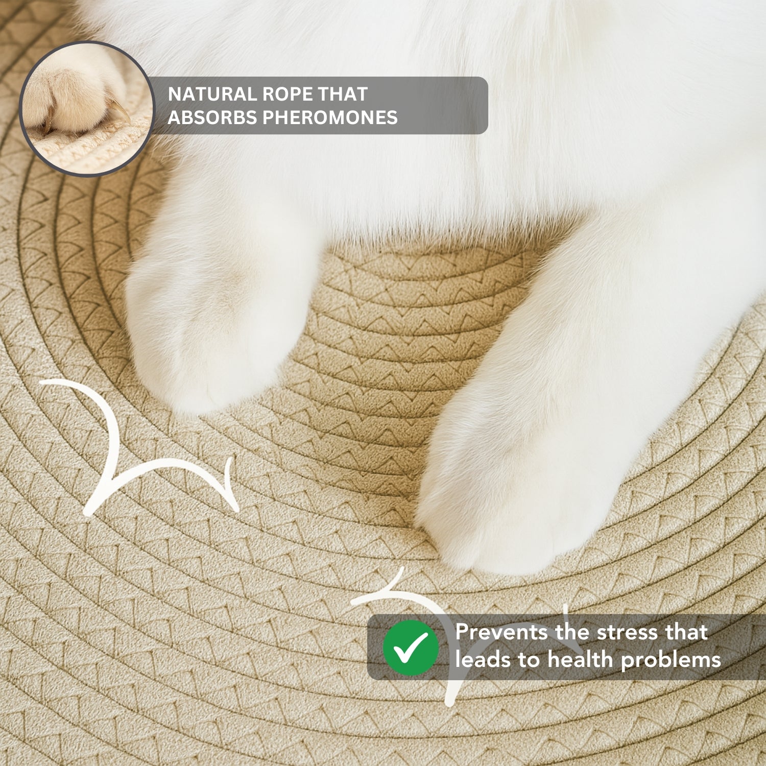 Instinct Basket | Meet the first research-backed natural territory for indoor cats