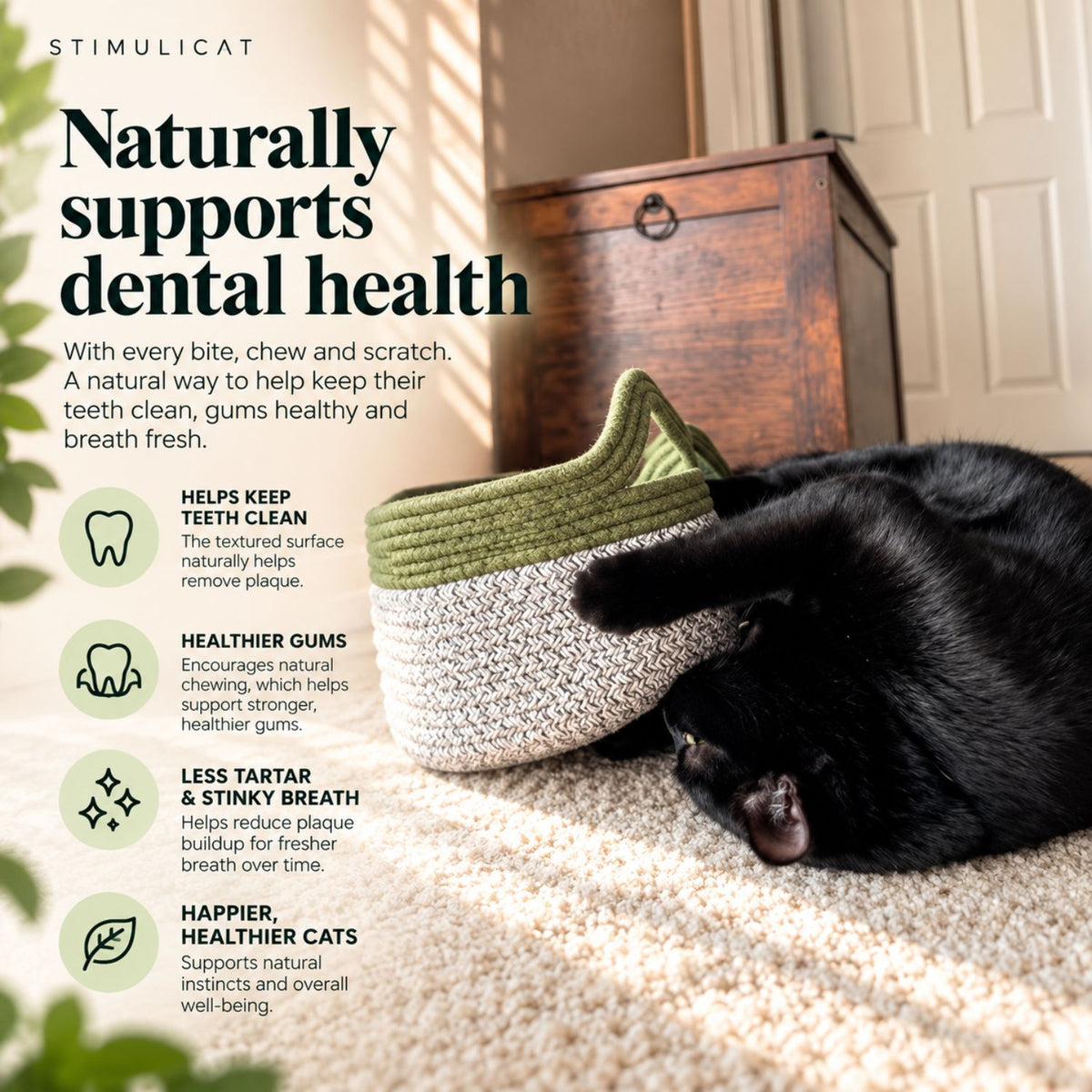Instinct Basket | Meet the first research-backed natural dental care for indoor cats