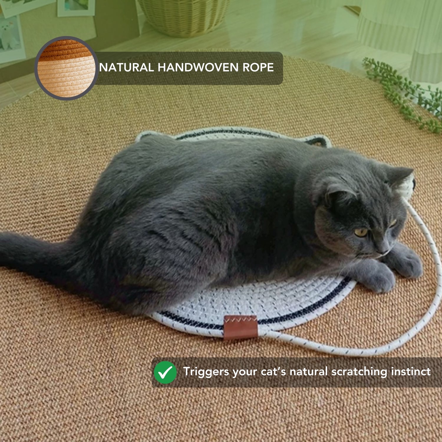 Instinct Mat | The Scratching Mat Her Biology Actually Recognizes (NEW)