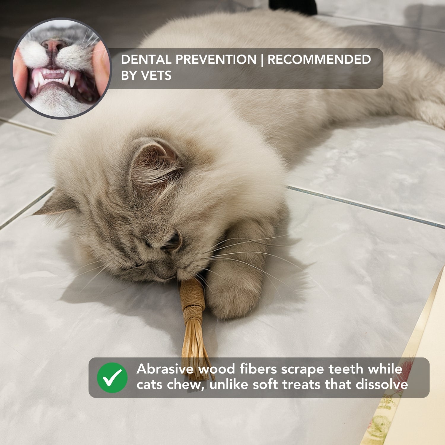 Instinct Dental Stick | Natural Plaque & Tartar Control | 100% Natural