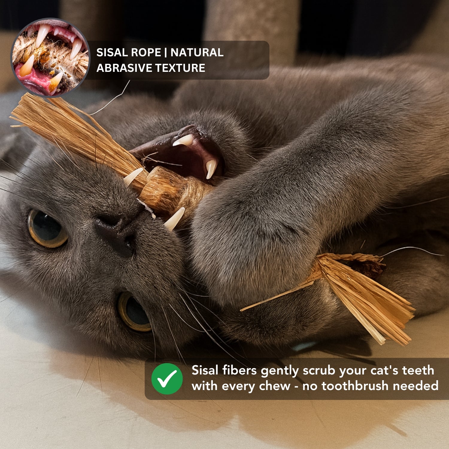 Instinct Dental Stick | Natural Plaque & Tartar Control