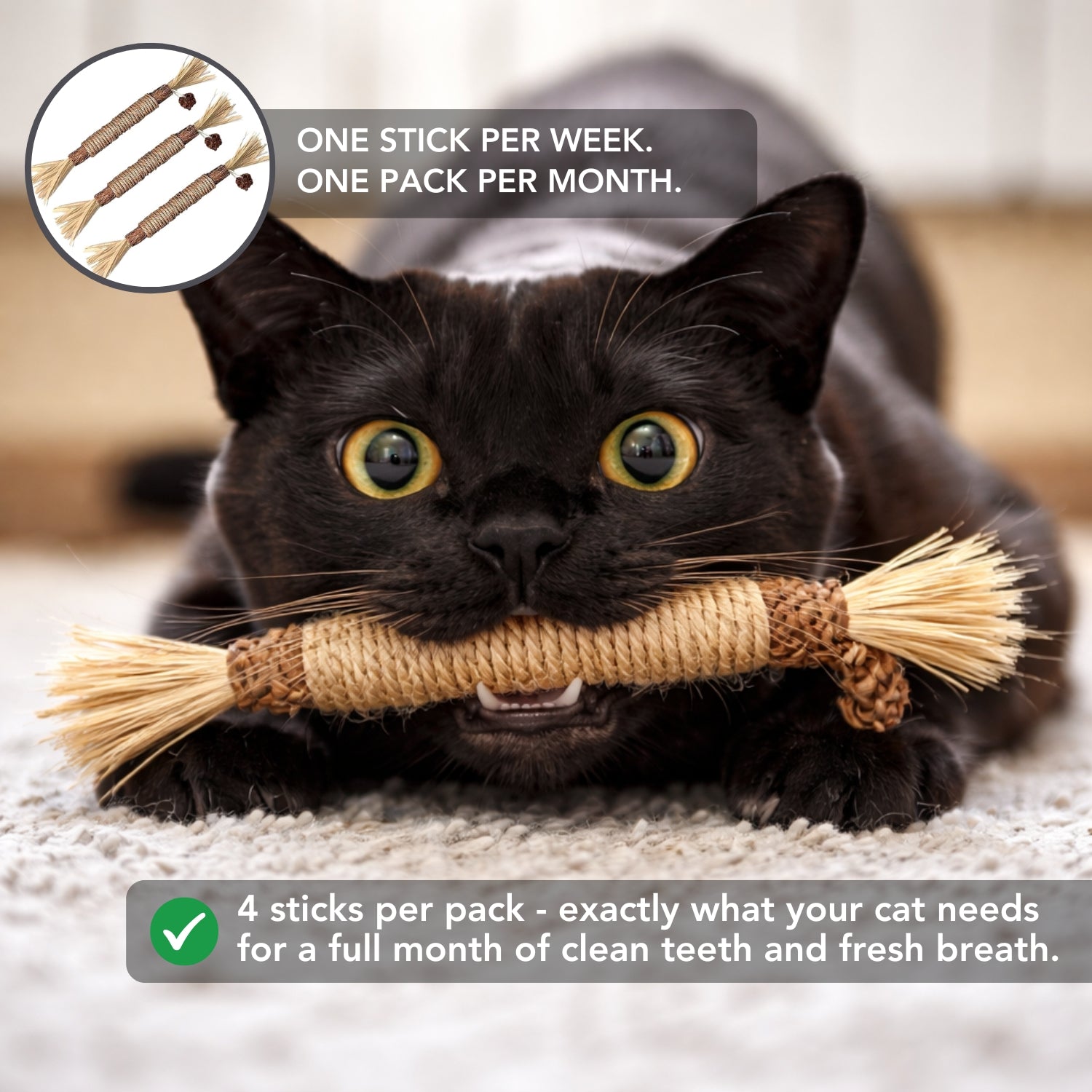 Instinct Dental Stick | Natural Plaque & Tartar Control | 100% Natural