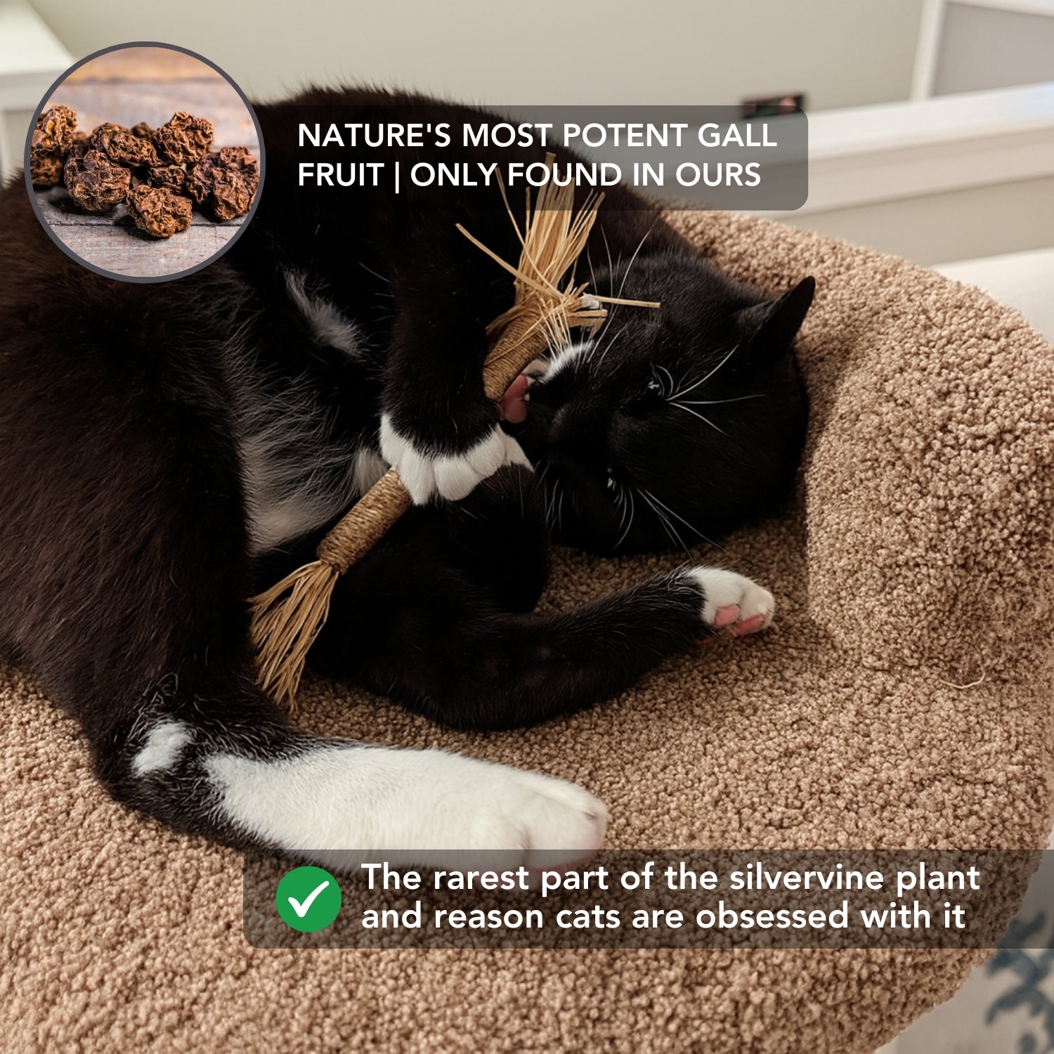 Instinct Dental Stick | Natural Plaque & Tartar Control | 100% Natural