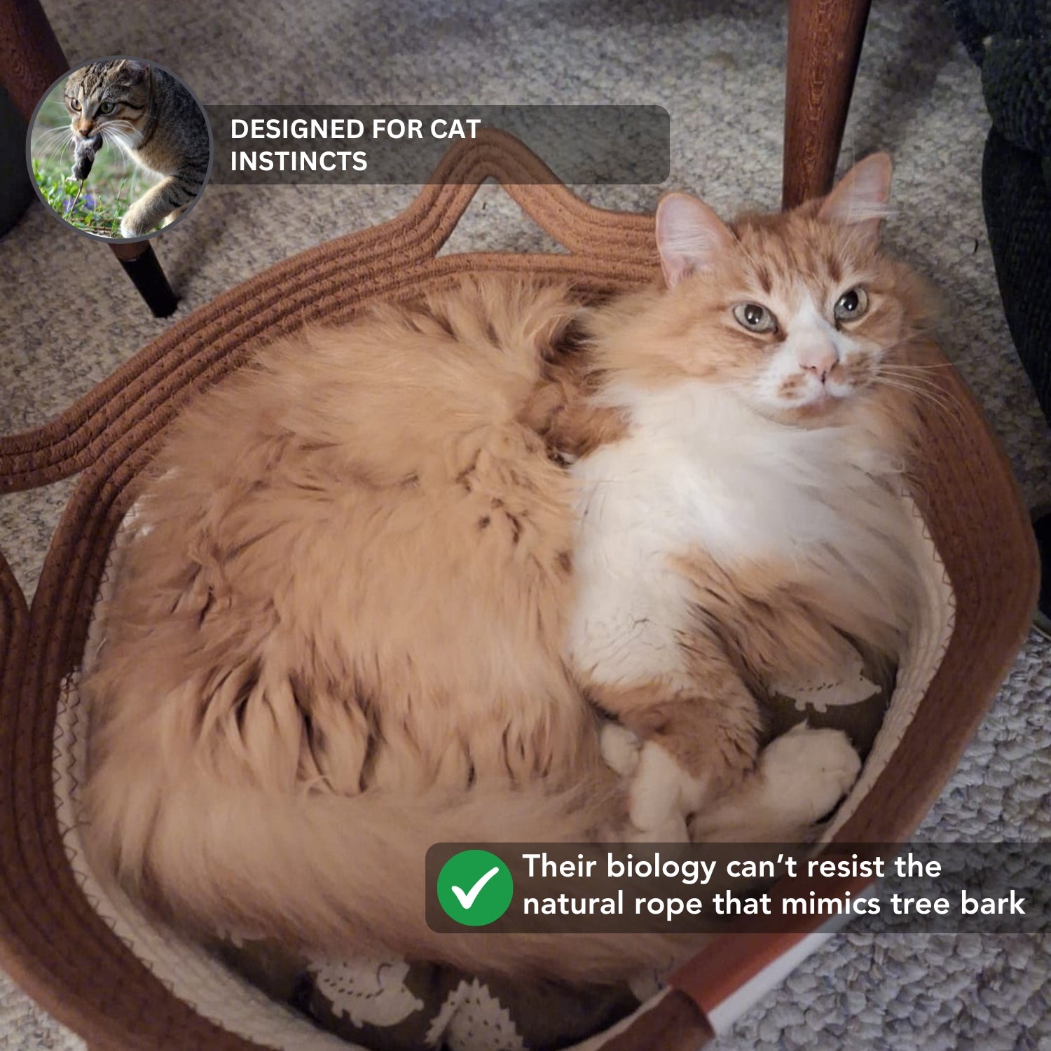 Instinct Basket | Meet the first research-backed natural territory for indoor cats