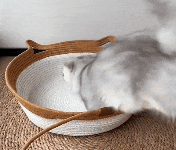 Kat in de Instinct Mand